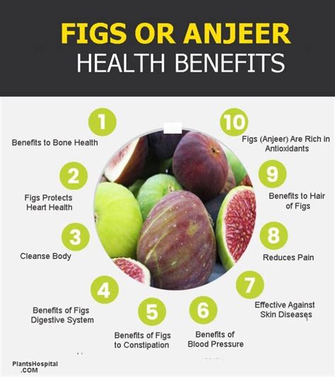 Figs Anjeer Wonderful Health Benefits Risks