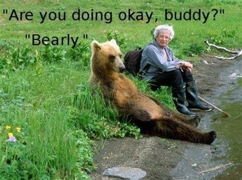 ﻿are you doing okay buddy man funny pictures bear pun funny pictures and best jokes