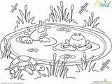 Preschool Frogs Estanques Estanque Cliparts Kleurplaten Ranas Designlooter Habitats Lagoa Colorier Leerlo Sapo étang Worksheeto sketch template