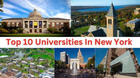 top  universities   york  udroppy