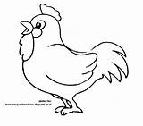 Mewarnai Ayam Hewan Warna Kaki Sketsa Kakinya Meskipun Dapati Memilih Sering Kotor Keliru Campuran Beberapa Tampak Bahwa sketch template