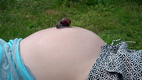 Big Snail Crawl On Pregnant Woman Belly Static Closeup