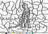 Coloring Color Cheetah Kids Number Numbers Animal Pages Animals Letscolorit Mandala sketch template