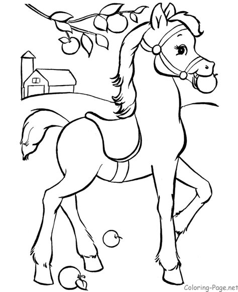 horse coloring page pony  saddle horse coloring books horse