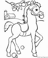 Coloring Pages Horse Printable Visit Baby sketch template