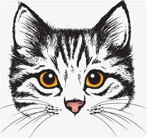 Draw Cartoon Cat Face Warehouse Of Ideas