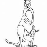 Ausmalbilder Hellokids Wildtiere Australische sketch template