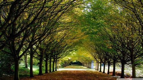 Download Autumn Anglesey Abbey Cambridgeshire England