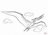 Coloring Pages Pteranodon Flying Printable Drawing sketch template