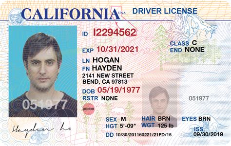 drivers license template software  printable templates