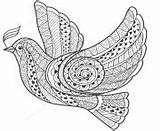 Zentangle Coloring Pages Dove Peace Adults sketch template