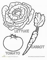 Vegetables Veggies Celery Carrots sketch template