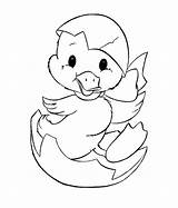 Duck Template Cute Templates Coloring Animal Easter Pages Shape sketch template
