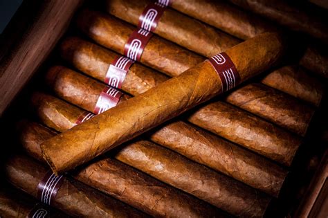 cuban cigar     types cigar club