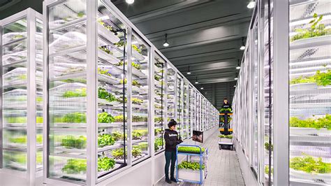 vertical farming  growing industry digital tech innovation