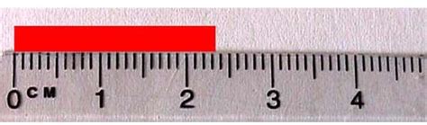 easy   learn   read  inches  metric rulers images