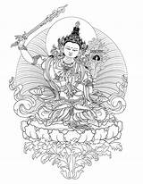 Buddhist Tara Coloring Tibetan Line Downloads Buddha Tattoo Drawing Thangka Deities Green Drawings Tibet Lotus Sakyamuni Throne Reference Saraswati Designs sketch template