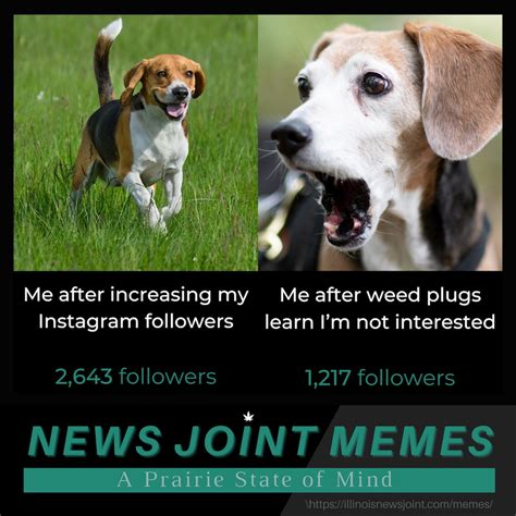 meme  illinois news joint