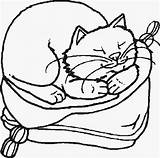 Coloring Cat Sleeping Pages Animal Printable Imprimer Chats Dessins Coloriage Kids Domestic Colorare Da Immagini Getcolorings Con Domesti Color sketch template