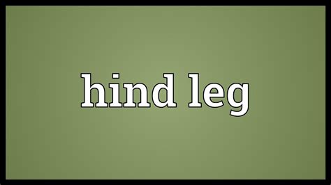 hind leg meaning youtube