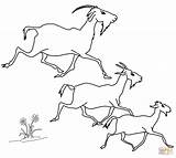 Gruff Goats sketch template