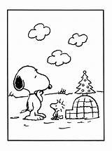 Peanuts Snoopy Coloring Christmas Woodstock Charlie Brown Activity Igloo Classroom Xmas sketch template