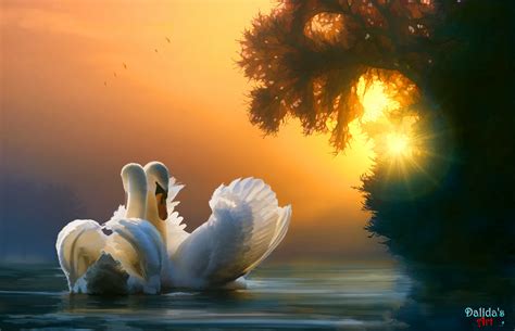 Swan Couple Hd Artist 4k Wallpapers Images Backgrounds Photos And