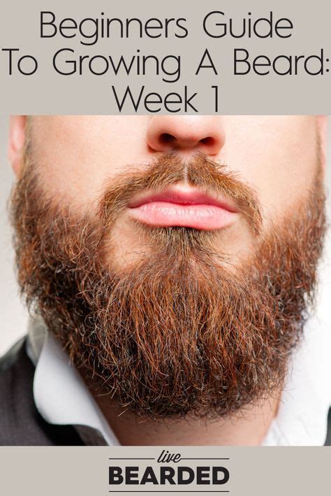 beginners guide to growing a beard week 1 tips to grow a beard fast