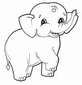Colorare Elefante Cucciolo Coloring Bambini Disegni sketch template
