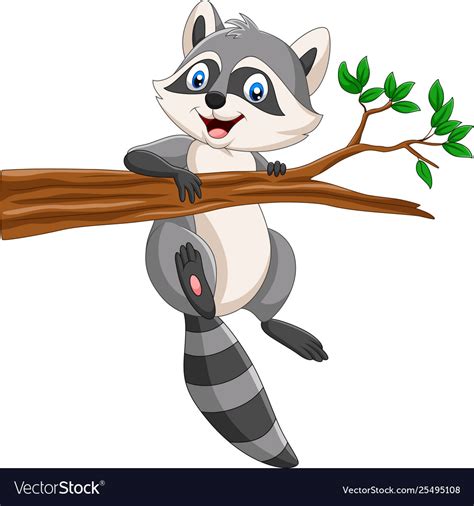 cartoon raccoon  tree branch royalty  vector image