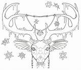 Deer Buck Coloring Pages Fighting Template sketch template