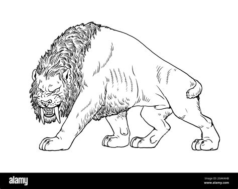 coloring pages  saber tooth tiger