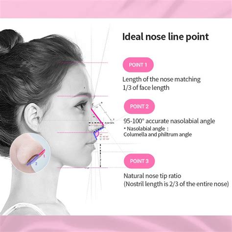 perfect nose proportions google search   rhinoplasty nose jobs perfect nose nose