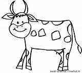 Cow Coloring Jersey Pages Mask Face sketch template