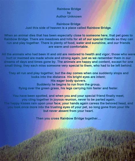 rainbow bridge  printable poem pet loss rainbow bridge poem