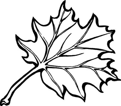 fall leaves coloring pages getcoloringpagescom