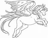 Pegasus Coloring Pages Baby Getcolorings Adults Winsome sketch template