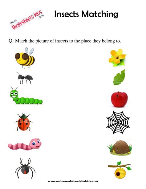 printable insect worksheets  preschoolers printable form