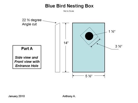 bluebird nest box plans   build  peterson bluebird house slant