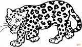 Leopard Coloring Pages Snow Color Cartoon Printable Drawing Template sketch template