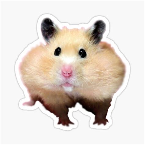 Fat Cheeks Stickers Redbubble