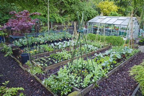 vegetable garden ideas   topsdecorcom