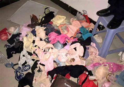 lingerie thief caught after 2 000 panties and bras fall from ceiling