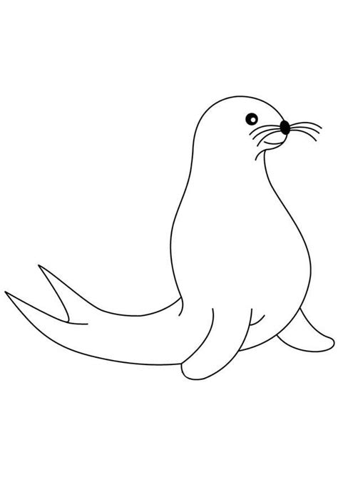 artic animal seal coloring page coloring sky artic animals