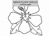 Hibiscus Flower sketch template