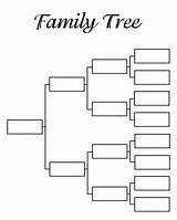 Tree Blank Family Template Printable Diagram Templates Maker Chart Genealogy Spanish Generations Trees Forms Word Google Pedigree Ancestry Generation Idlife sketch template
