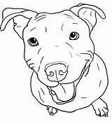 Pitbull Coloring Pages Puppy Realistic Bulldog French Drawing Dog Pit Color Bull Drawings Line Easy Getcolorings Printable Draw Face Cartoon sketch template
