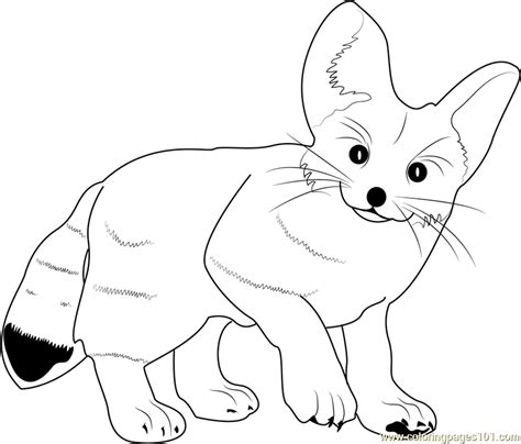 fennec fox coloring page  fox coloring pages coloringpagescom