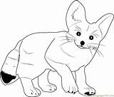 Fox Coloring Fennec Pages Cute Baby Animals Color Coloringpages101 Printable Foxes Kids Drawings Designlooter Getdrawings Getcolorings Online Print sketch template