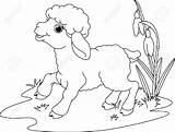Easter Lamb Pages Coloring Getcolorings sketch template